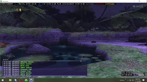 Playing Final Fantasy XI Online