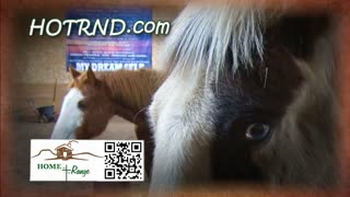 Trent Loos in the Morning - 10/07/2025