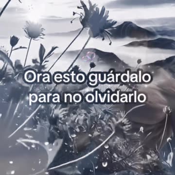 REFLEXIONES 💫 🤍 💫 🤍 💫