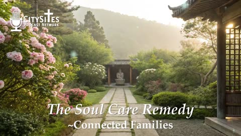 The Soul Care Remedy