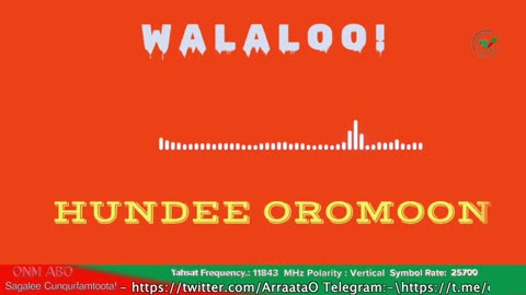 Qophii Walaloo ONM-ABO Amajjii 24-2025 itti dhiyaadhaa!