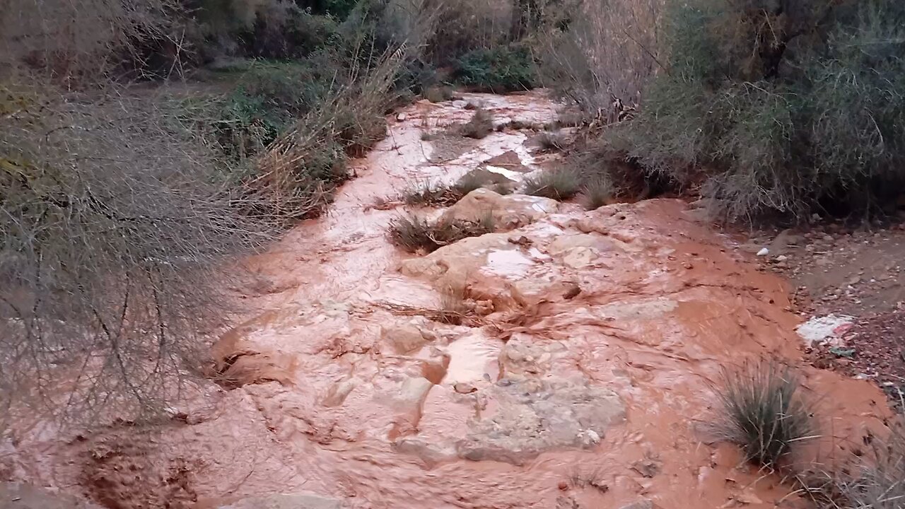 Rocky terrain with foliage and flowing water during daytime in a natural setting