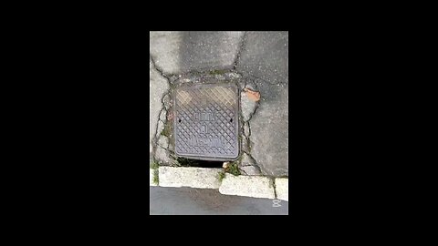 che succede a Magenta?