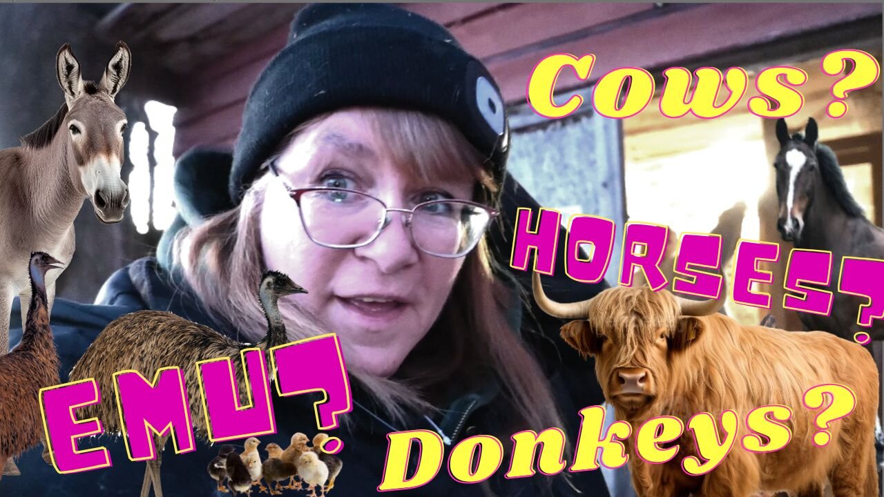 The new ANIMALS we will be ADDING to our FARM this year