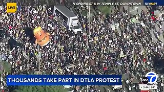 Police drop NIGHTMARE news on Trump after No Kings protest