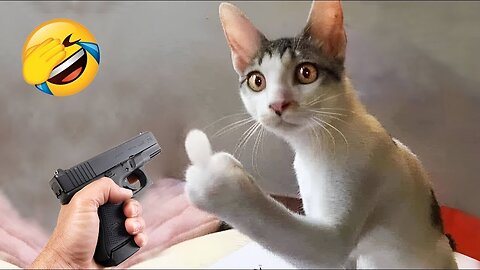Funny & Cute Animals