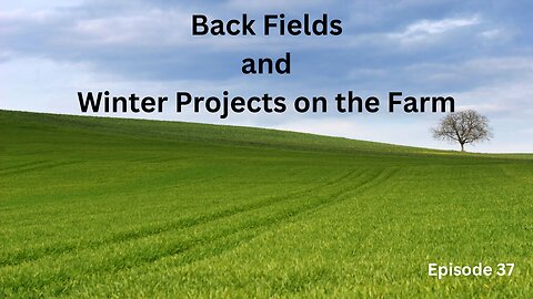 Back Field Walk thru and Winter Projects of the farm