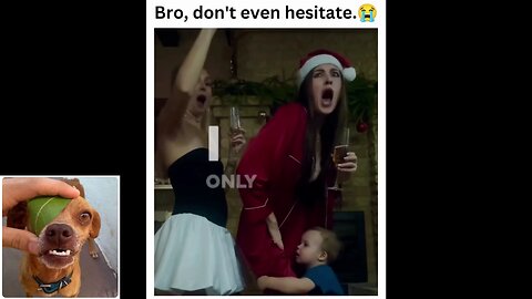 Funny videos compilation 77