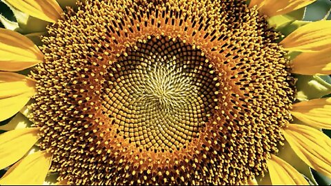 La Vision D'Edgar CAYCE Sur 3I/ATLAS : Avertissement Choc à Entendre