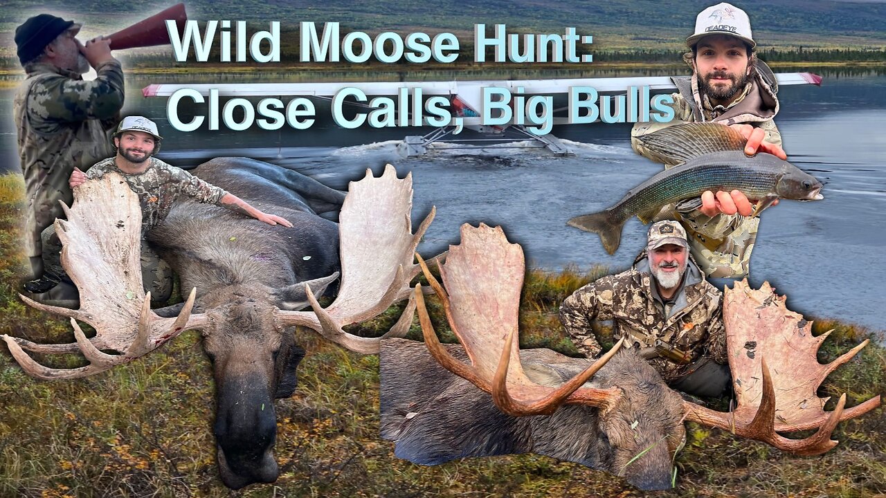 John & Jack Wild Moose Hunt: Close Calls, Big Bulls, and Wilderness Survival