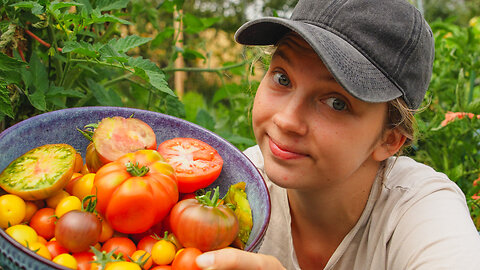 These Tomatoes Will Change Your life! You Will Never Be The Same Again.
