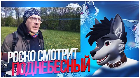 🐺 Роско смотрит Поднебесного