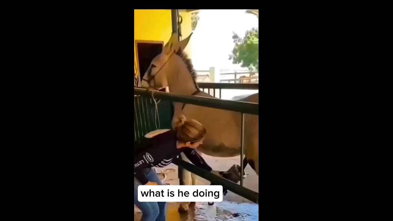 What is he doing 🤣#funy #comedyreels