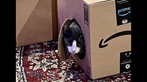 Episode 3056 CWSA 12/28/25