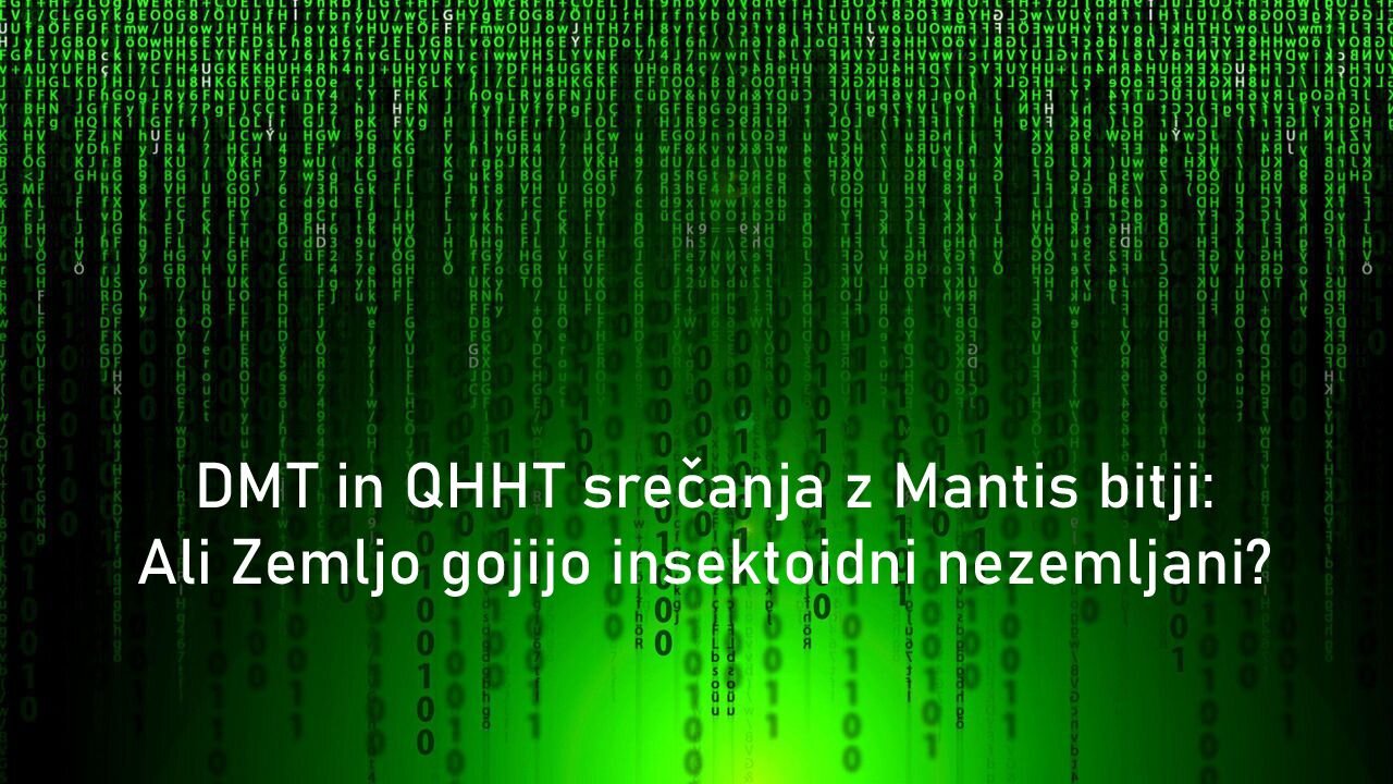 DMT in QHHT srečanja z Mantis bitji: Ali Zemljo gojijo insektoidni nezemljani?