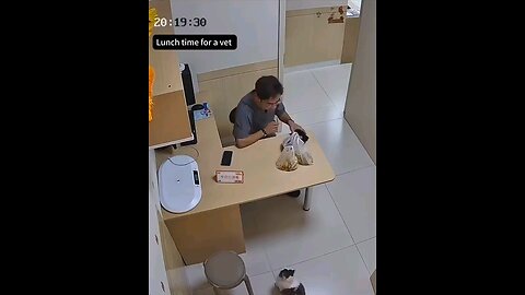 Lunch time for vet