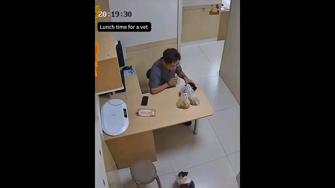 Lunch time for vet