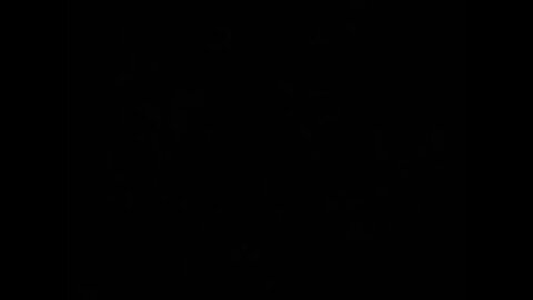 Snow White and the Seven Dwarves - Banking Elite