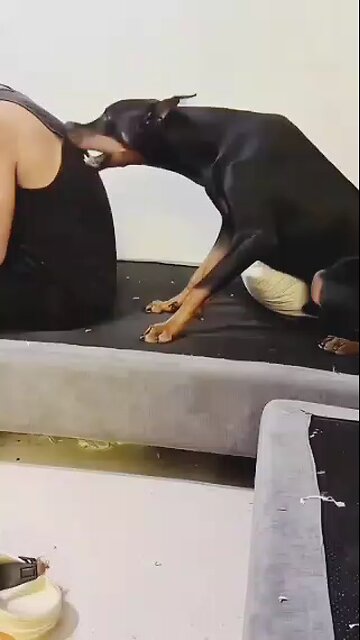 copy paste no need to DNA test