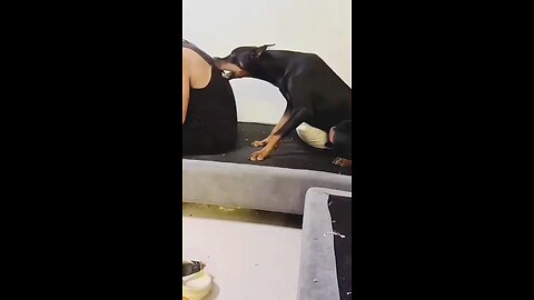 copy paste no need to DNA test