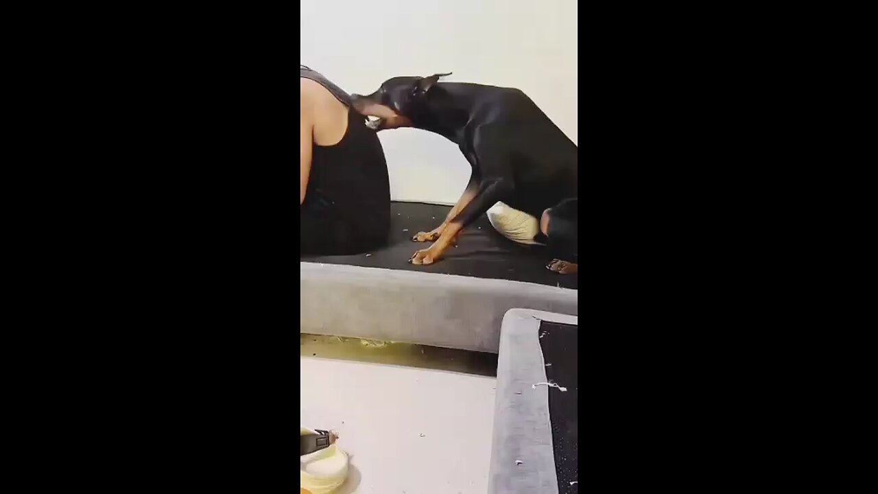 copy paste no need to DNA test