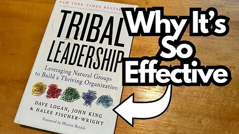 Tribal Leadership - Book Review