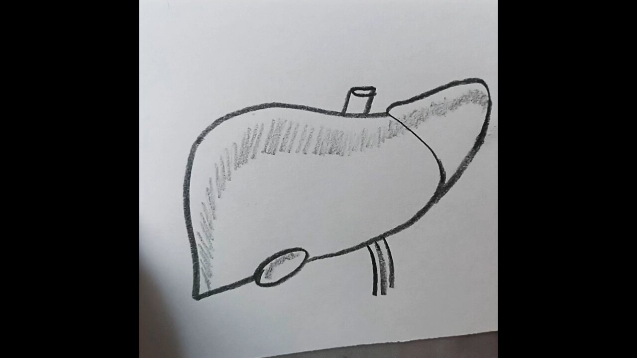 how to draw a liver