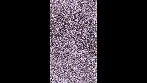 Test upload 2