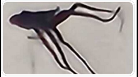 We NEED To TALK About The UFO 'Dementor' SKY SQUIDS (2026) - KJ's What Happened?