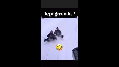 funny dogs run after them