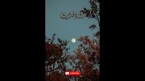 Hadees e nabvi (saw) #islam #viralvideos #islamicreminders #prophetmuhammadsaw #hadeesenabvi