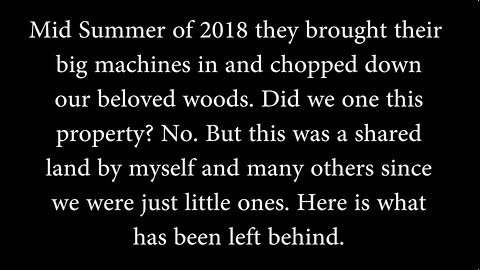 RZR 7-23-18 Devastation