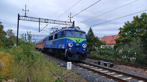 Kamieńczyk w Jeleniej Górze