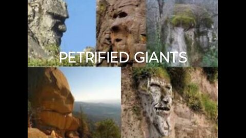 PETRIFIED GIANTS