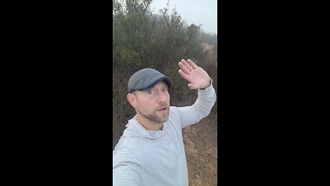 Astrology Week of Nov 2-8