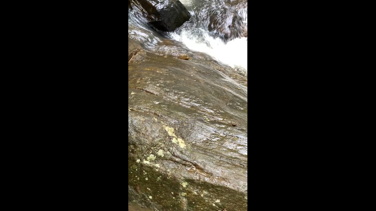 Wow 🤩