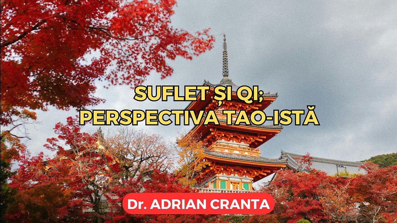 Suflet și qi; perspectiva tao-istă