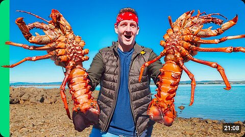 Australia’s GIANT Rock Lobsters!! Hand Caught Tasmanian Seafood!!