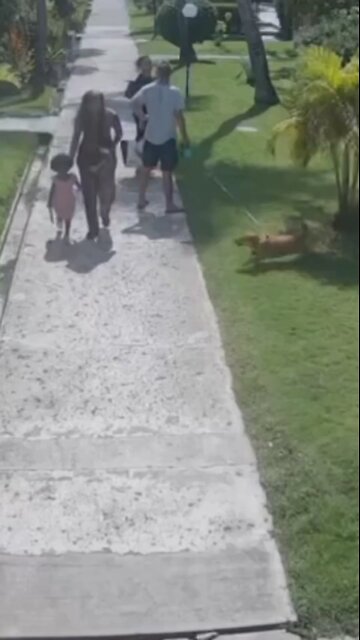 Who’s really at fault? The question everyone is asking #whosatfault #japd