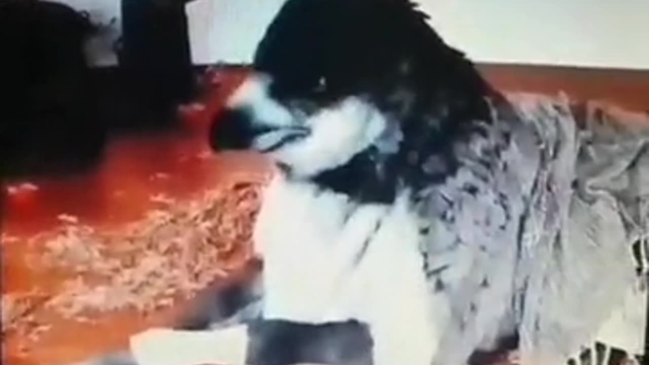 🤯👽 Mutan and UFO Sighting - What Is This? | TheTruthAbove