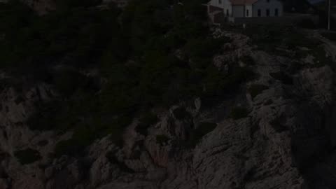 🙏🕊️ Daily Praise | Worship God with Gratitude | InGodWeTrustDaily