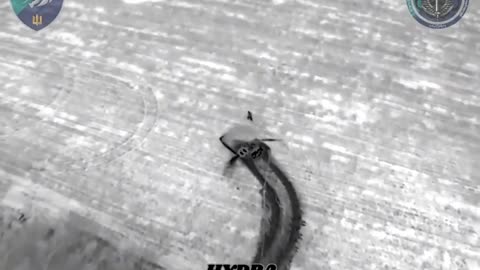 Russians Leave Comrade Behind Once Ukrainian Drones Show Up