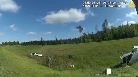 Deputies told to shoot and kill monkeys after transport truck crash, body cam footage reveals