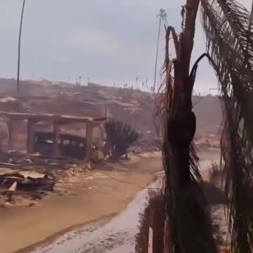 Update on California “wild” fires … | Wow 💔