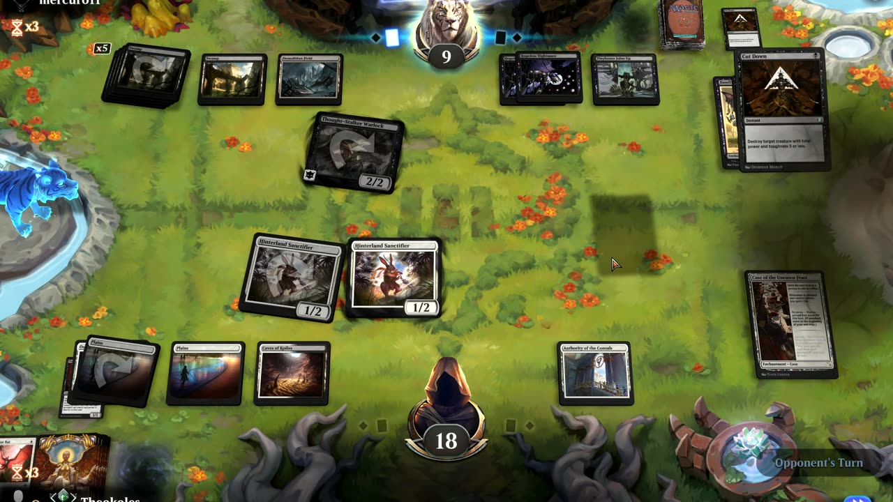 Magic the Gathering Ranked Gameplay