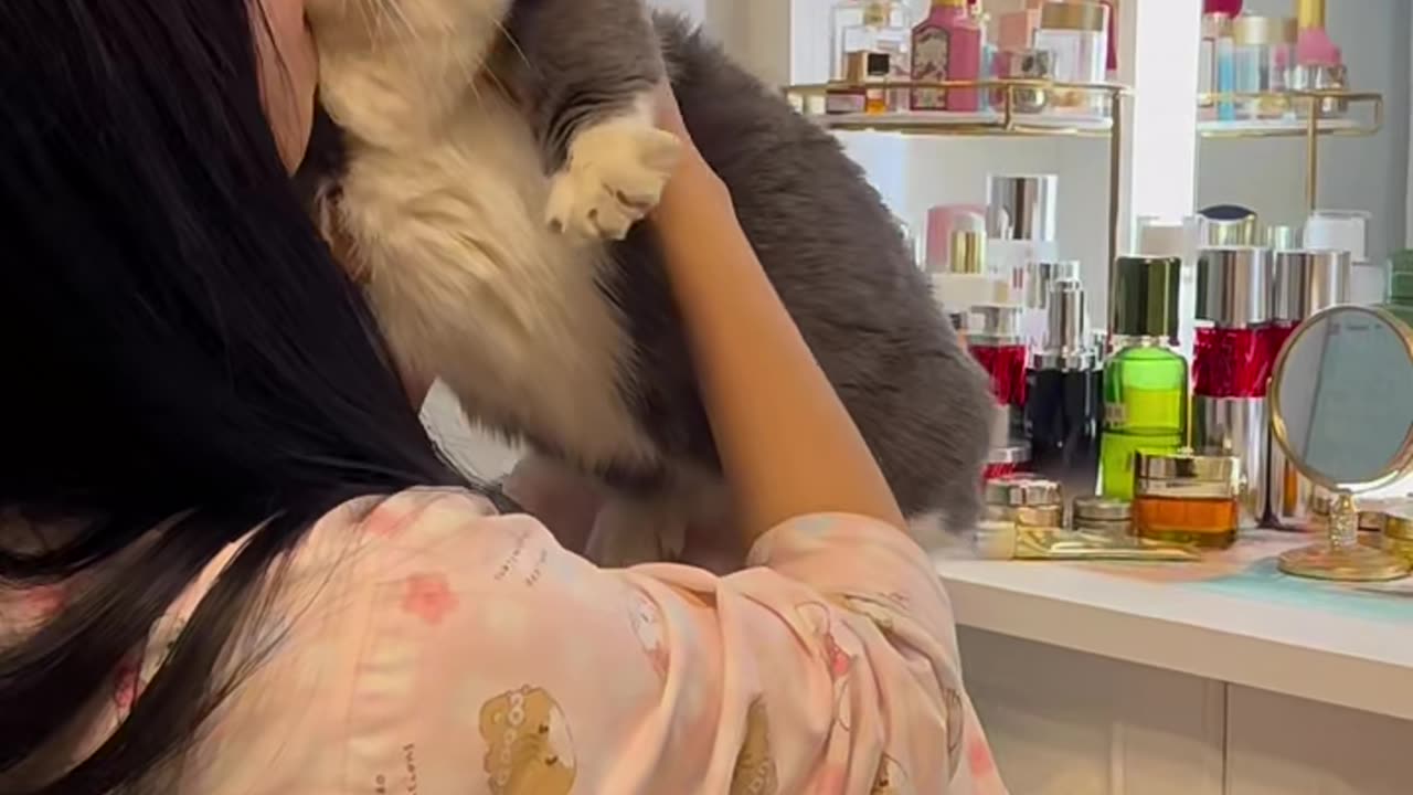 beloved cat
