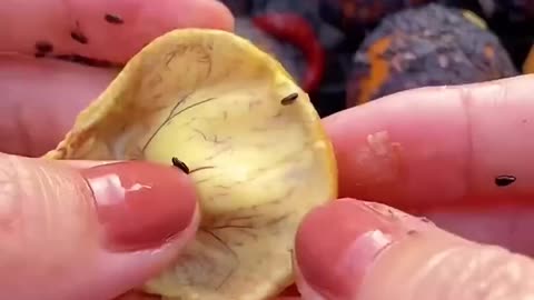 Comment Préparer un Plat Coréen en 30 Secondes avec Cette Machine!