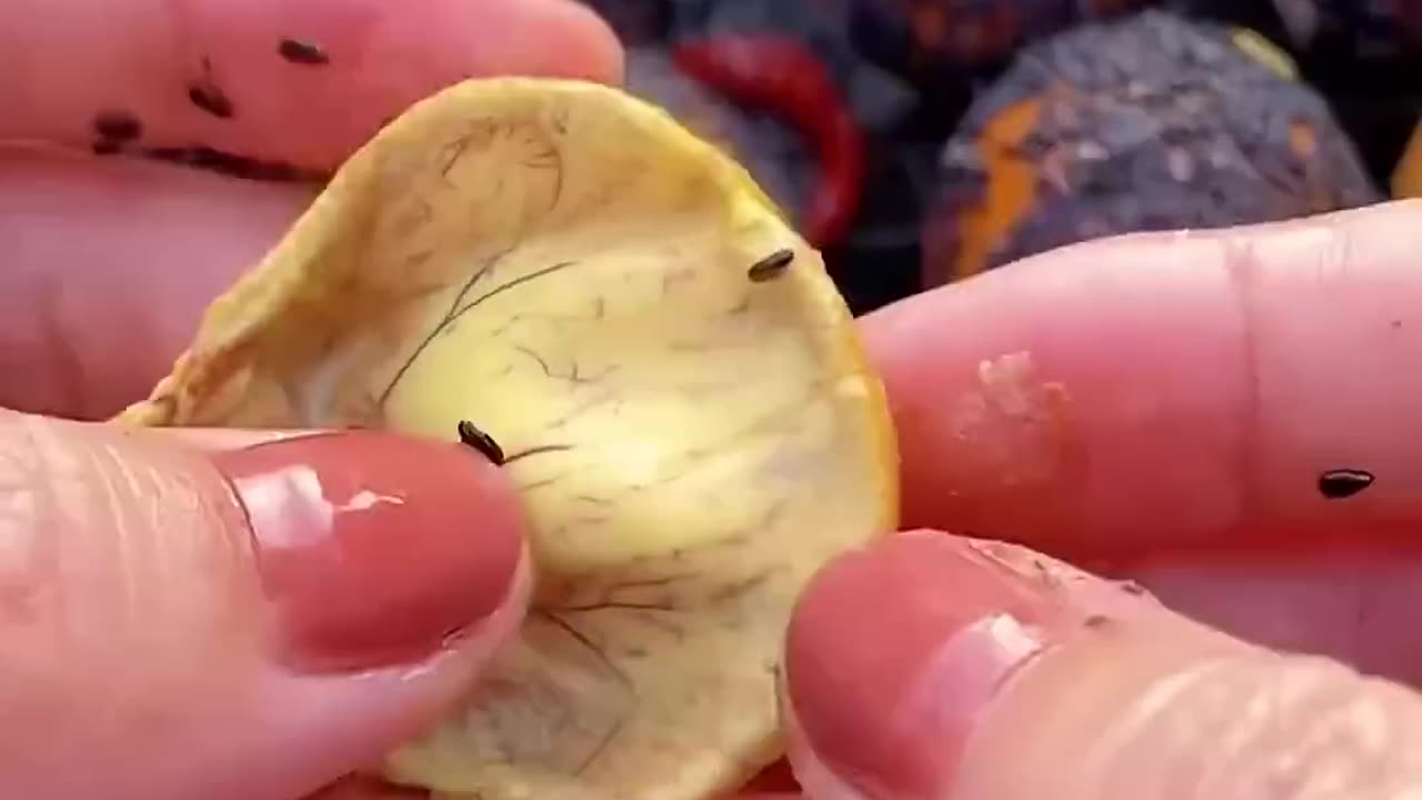 Comment Préparer un Plat Coréen en 30 Secondes avec Cette Machine!