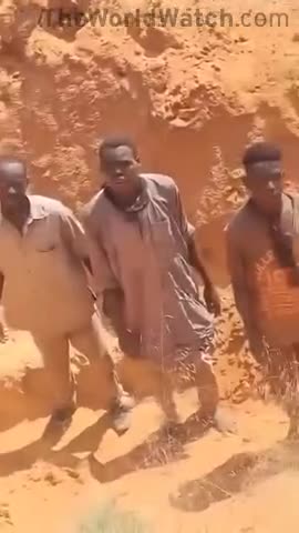 terrorist RSF militia executing civilians just for bringing food to "al-fashir"