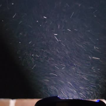 Dallas the air is infected 7 Feb 2025